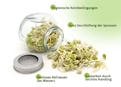 Sprossenglas Duo Set (2x 425 Ml) | Keimgläser Von FLORTUS -Qualitätsladen Für Geschirr 18594a209d5f52959f1db6efb907a3c1