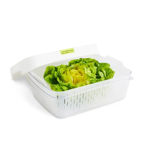 ROTHO Dynamic Box 6,4 L FRESH, Farbe:Limettengrün – Bild 2