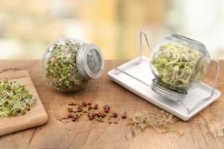 Sprossenglas Duo Set (2x 425 Ml) | Keimgläser Von FLORTUS -Qualitätsladen Für Geschirr 37301c5a711d0bb53f86effad38ff811