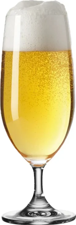 Leonardo Daily 6 Er Krt. Biertulpen 17 Leonardo Daily 6 Er Krt. Biertulpen -Qualitätsladen Für Geschirr 393af5dd7bc5a9e7a17d48f344381608