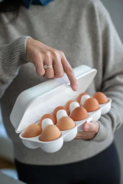 Koziol - Eggs To Go Eierkarton 16 Koziol - Eggs To Go Eierkarton -Qualitätsladen Für Geschirr 440236c4154ac80209cfa5babc4c4974