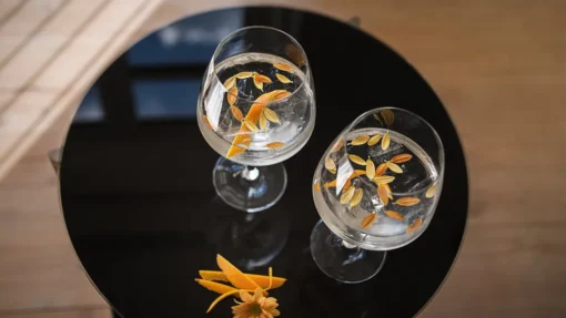 Holmegaard Perfection - Gin Gläser 90 Cl, Klar 2 Stück – Bild 3