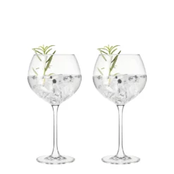 Leonardo GK/2 Gingläser 630ml Gin