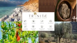 Nachtmann Vorteilsset 2 X 4 Glas/Stck Obstbrand 50/46 Vivendi 89736 Und Gratis 1 X Trinitae Körperpflegeprodukt 7 Nachtmann Vorteilsset 2 X 4 Glas/Stck Obstbrand 50/46 Vivendi 89736 Und Gratis 1 X Trinitae Körperpflegeprodukt -Qualitätsladen Für Geschirr 67077e59e1a1032d5c820cf4eae4ab17 2