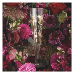 Brillantnacht Champagnerglas 2023 Von Romi Bohnenberg 20 Brillantnacht Champagnerglas 2023 Von Romi Bohnenberg -Qualitätsladen Für Geschirr 687536cb9628967a42eb8b4bc05b0218