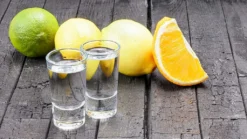 SCHLOSSEREI BAYERWALD Schnapsgläser Set 6 Stück Je 28 Ml - Shotgläser Wodka Schnaps Tequila Grappa - Transparent 7 Cm Höhe 12 SCHLOSSEREI BAYERWALD Schnapsgläser Set 6 Stück Je 28 Ml - Shotgläser Wodka Schnaps Tequila Grappa - Transparent 7 Cm Höhe -Qualitätsladen Für Geschirr 7dbeb904752908baedd0bccbe57b4e6b