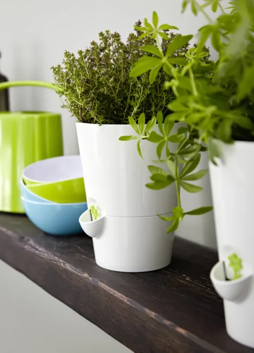 EMSA FRESH HERB Kräutertopf 13x17 Cm, Weiß, 521244 – Bild 2