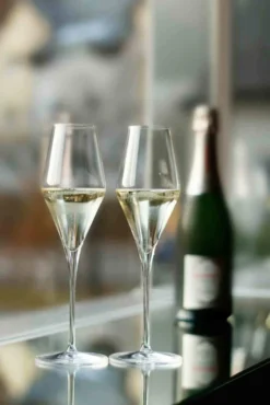 Champagnerkelch Quatrophil - 292ml - 6er-Pack 14 Champagnerkelch Quatrophil - 292ml - 6er-Pack -Qualitätsladen Für Geschirr 8eab45b472d49e0b055d2d5449c75c79