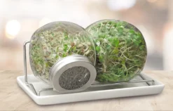 Sprossenglas Duo Set (2x 425 Ml) | Keimgläser Von FLORTUS -Qualitätsladen Für Geschirr 9d6e85058f91c1d1b2d658b209d40282