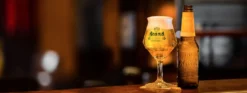 Brand Biergläser IPA 250 Ml - 6 Stück 5 Brand Biergläser IPA 250 Ml - 6 Stück -Qualitätsladen Für Geschirr ae2945b1fbd3ea5d173967f332cc33d1