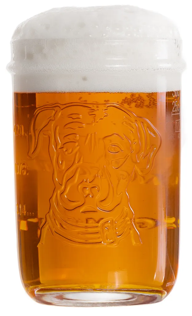 Lagunitas Biergläser 300 Ml - 6 Stück 2 Lagunitas Biergläser 300 Ml - 6 Stück – Bild 2