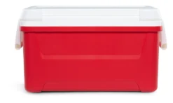 Igloo Kühler Laguna 48passiv 45 Liter Rot -Qualitätsladen Für Geschirr d025761591594293d079df5f681fc258