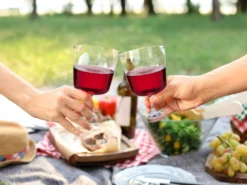 APS Camping Gläser, Bruchsichere Tritan Weingläser Für Garten, Party Trinkbecher