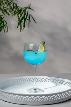 KROSNO Venezia Gin Tonic Wassergläser, 6er-Set, 480 Ml -Qualitätsladen Für Geschirr ee5daf293fd72dcbbd5893c635d94fd5