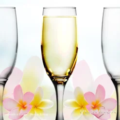 Sektgläser Bunt Aus Glas 150ml (max.190ml) Set 6-Teilig Champagnergläser Prosecco Gläser 12 Sektgläser Bunt Aus Glas 150ml (max.190ml) Set 6-Teilig Champagnergläser Prosecco Gläser -Qualitätsladen Für Geschirr ee679143e6d5b7595a60403f1d118b80