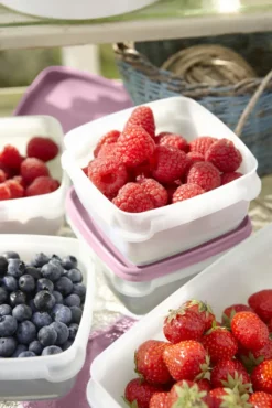 GastroMax Gefrierdose 0,3 Liter 6er Set -Qualitätsladen Für Geschirr f4f0fcb226dd19ca6295a5336400c1bd